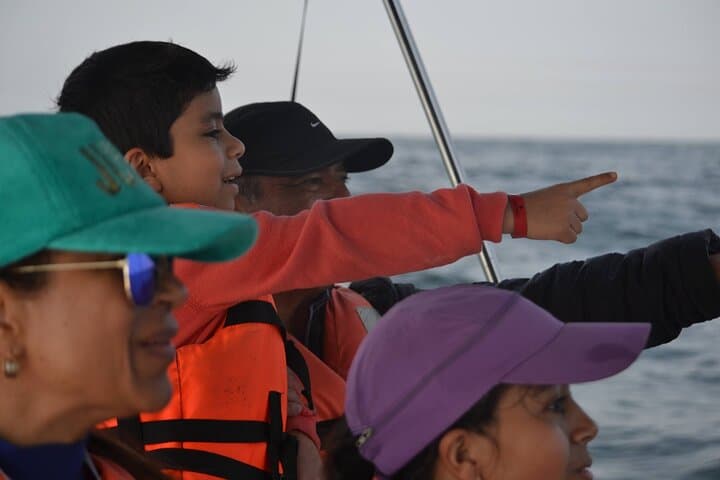 Munba Power-Boat Whale-Watching Tour — Mazatlán Humpback Expeditions photo 5