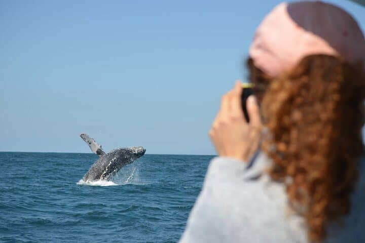 Munba Power-Boat Whale-Watching Tour — Mazatlán Humpback Expeditions photo 6