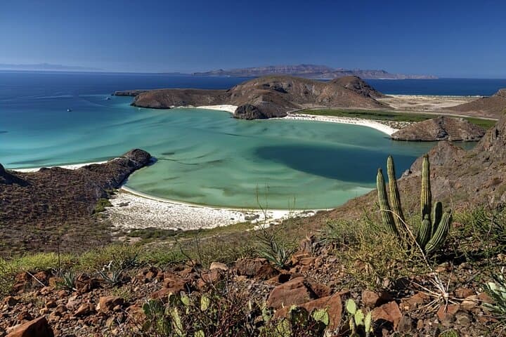 Balandra Beach Day Trip from Cabo — Swim, Stroll & La Paz Culture