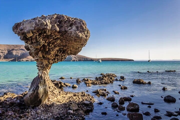 Balandra Beach Day Trip from Cabo — Swim, Stroll & La Paz Culture photo 2