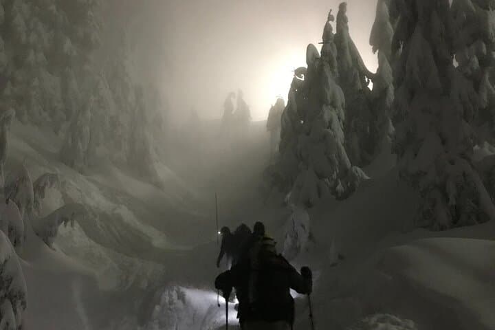 Private Evening Snowshoe Tour in North Vancouver — Learn Snowshoeing Under City Lights photo 2