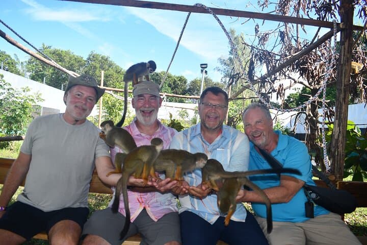 Monkey Interaction and Damajagua Waterfalls: Puerto Plata Day Adventure photo 3