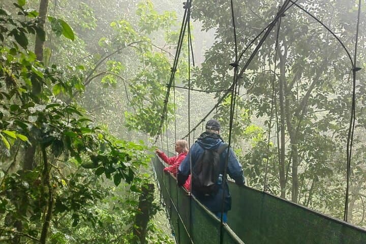 Private Rainforest Day Tour in Bijagua: Sloths, Waterfalls, Hanging Bridges & Coffee Tasting photo 2