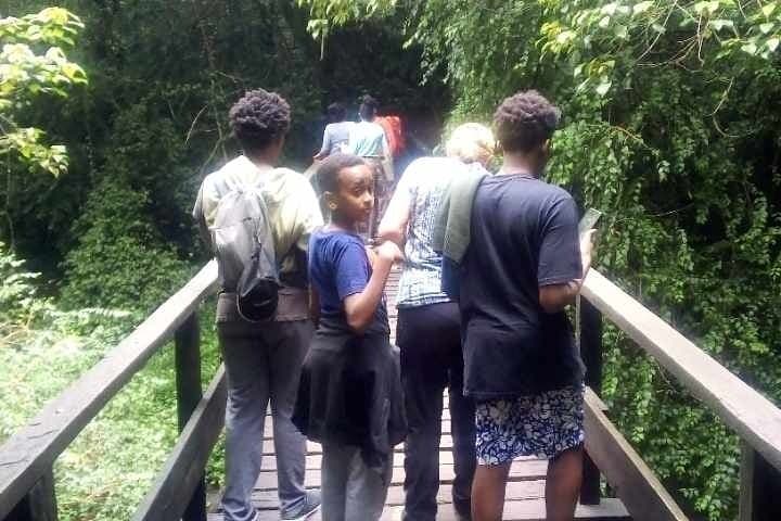 Moshi day trip: Mandara Hut lowland forest trek on Kilimanjaro photo 6