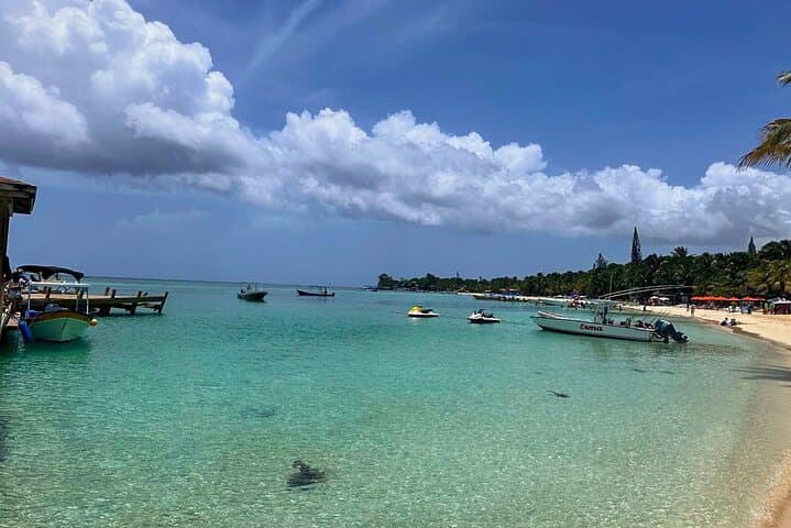 Roatan Shore Snorkel and West Bay Beach Break: Sanctuary Park Highlights photo 3