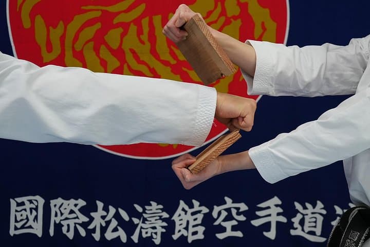 Train with a Shotokan World Champion in Tokyo — Karate Experience at SKIF Headquarters photo 2