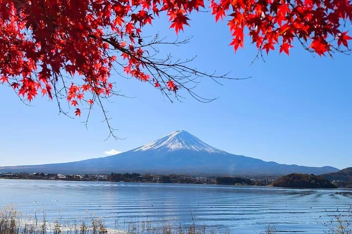 Private Day Trip to Mount Fuji & Lake Kawaguchi from Tokyo