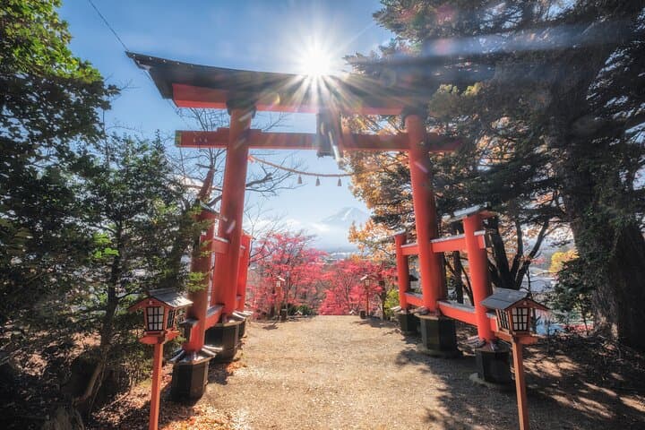 Private Day Trip to Mount Fuji & Lake Kawaguchi from Tokyo photo 3