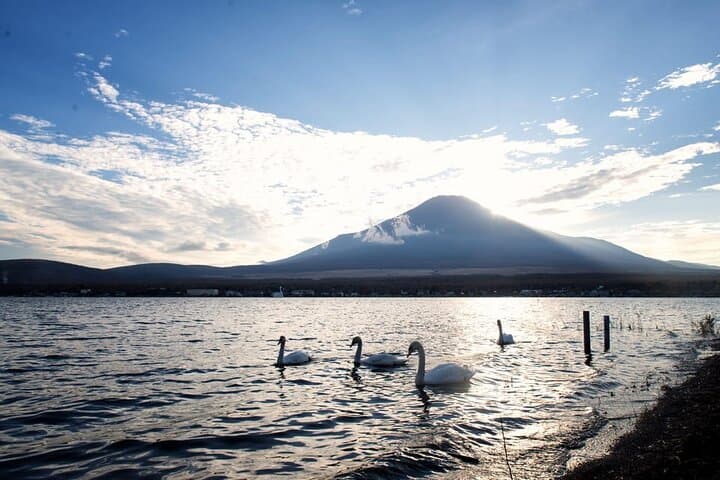 Private Day Trip to Mount Fuji & Lake Kawaguchi from Tokyo photo 5