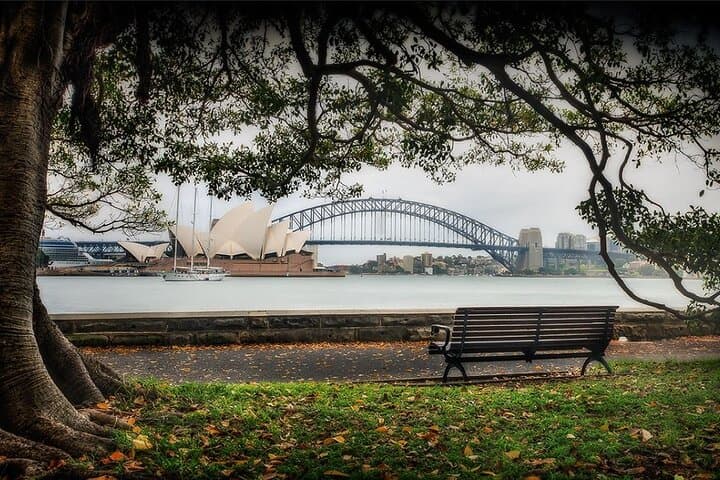 Private Sydney City Bondi Beach Opera House & Botanic Garden Tour — Full-Day Coastal and City Experience photo 6