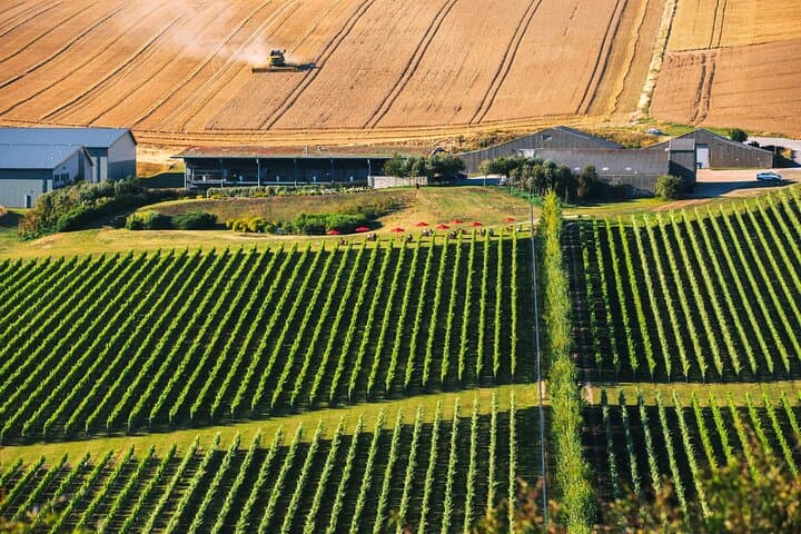 Seven Sisters Coast Wine & Brewery Day Trip from Brighton photo 2