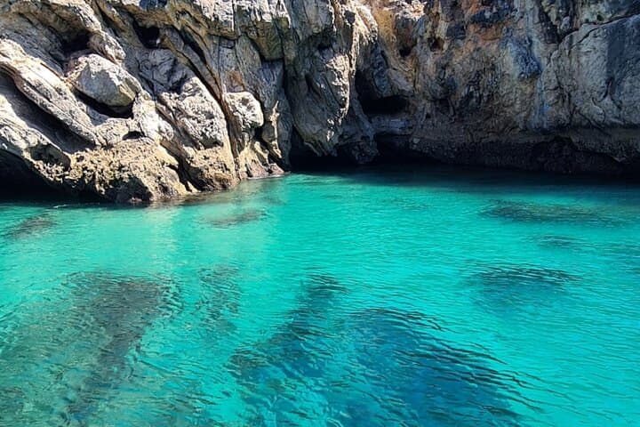 Sesimbra Snorkel Boat Trip: Explore Arrábida’s Kelp Forests and Rocky Reefs photo 4