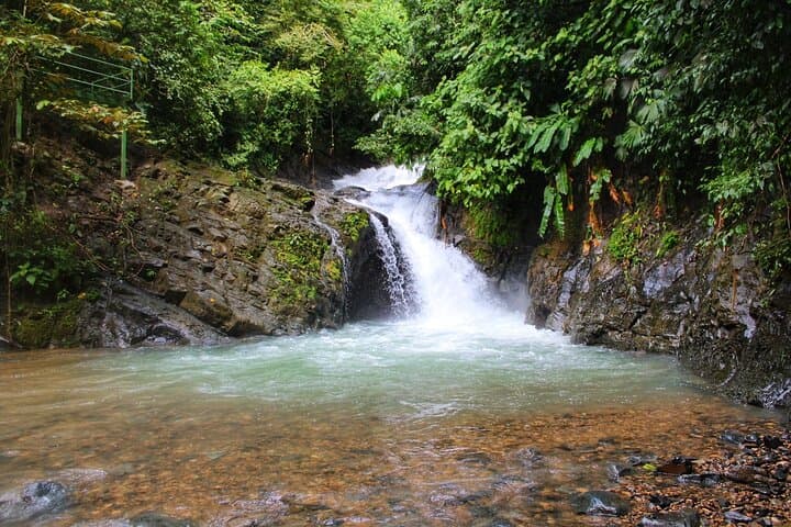 Eco Tour to Mulguri Waterfalls — Quepos Day Trip with Waterfalls, Bridge & Farm Lunch