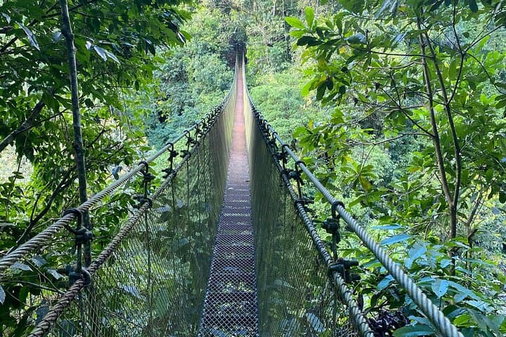 Eco Tour to Mulguri Waterfalls — Quepos Day Trip with Waterfalls, Bridge & Farm Lunch photo 2