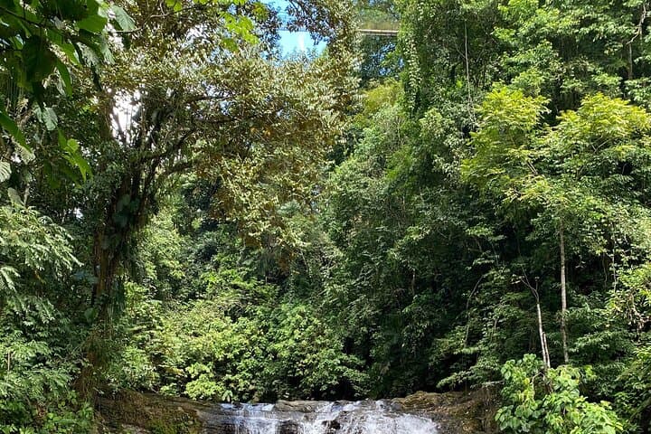 Eco Tour to Mulguri Waterfalls — Quepos Day Trip with Waterfalls, Bridge & Farm Lunch photo 3