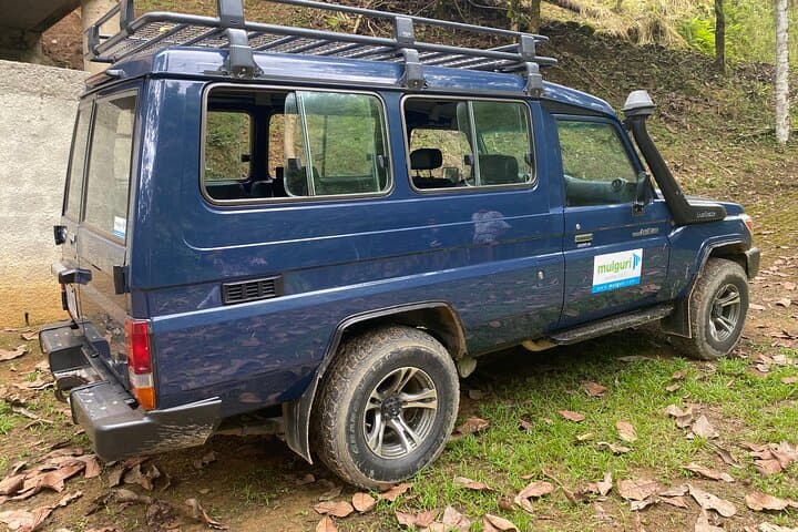 Eco Tour to Mulguri Waterfalls — Quepos Day Trip with Waterfalls, Bridge & Farm Lunch photo 5