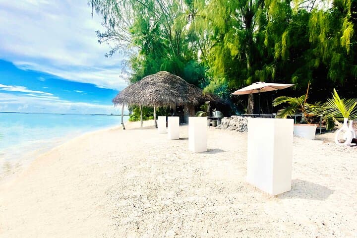 Moorea Lagoon Tour: Lunch on a Motu with Snorkeling, Stingrays & Turtles photo 3