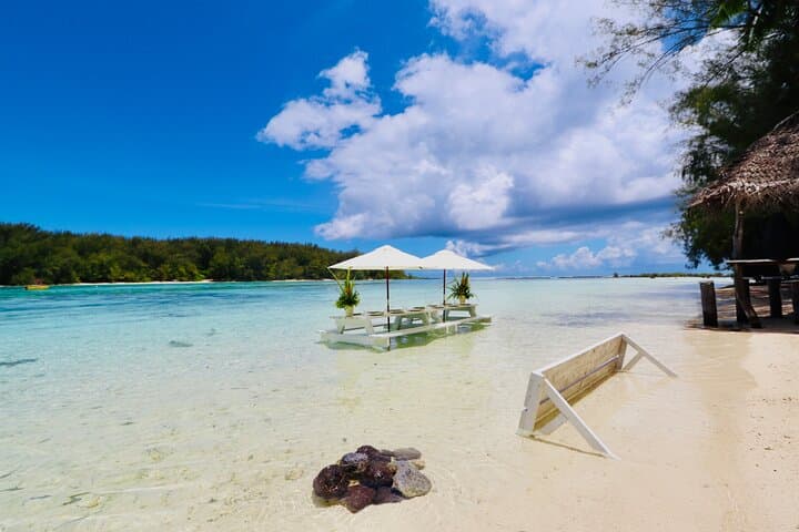 Moorea Lagoon Tour: Lunch on a Motu with Snorkeling, Stingrays & Turtles photo 4