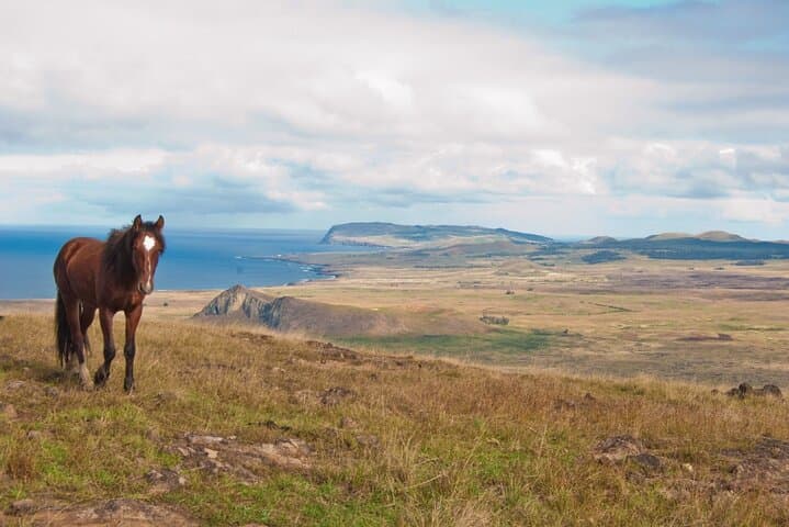 Poike Volcano Hike — Private Easter Island Trek to the Remote Eastern Rim