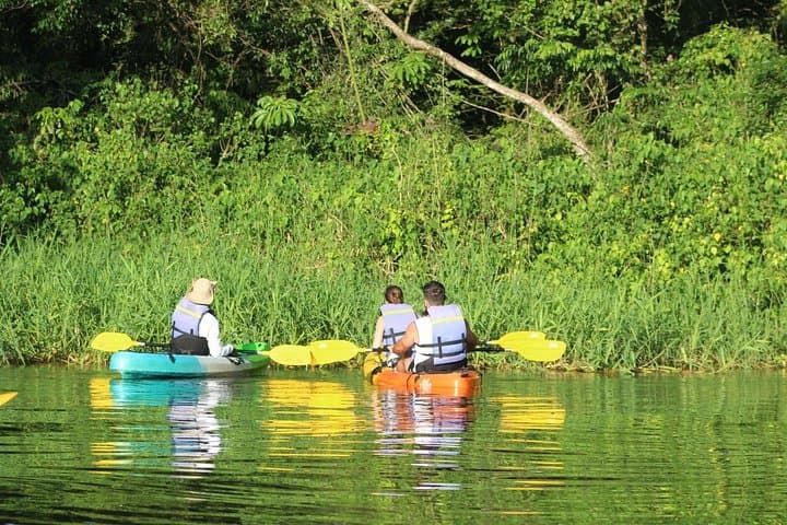Tortuguero Full-Day Canoe, Jaguar Trail Hike & Night Walk photo 5