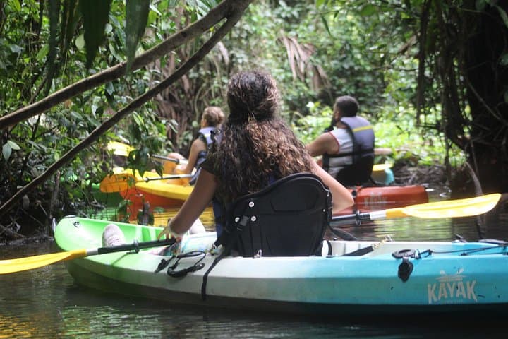 Tortuguero Full-Day Canoe, Jaguar Trail Hike & Night Walk photo 2