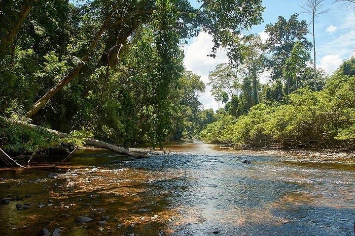 Taman Negara 2D1N Explorer: Night Walks, Teresek Hill & River Resort Escape photo 1