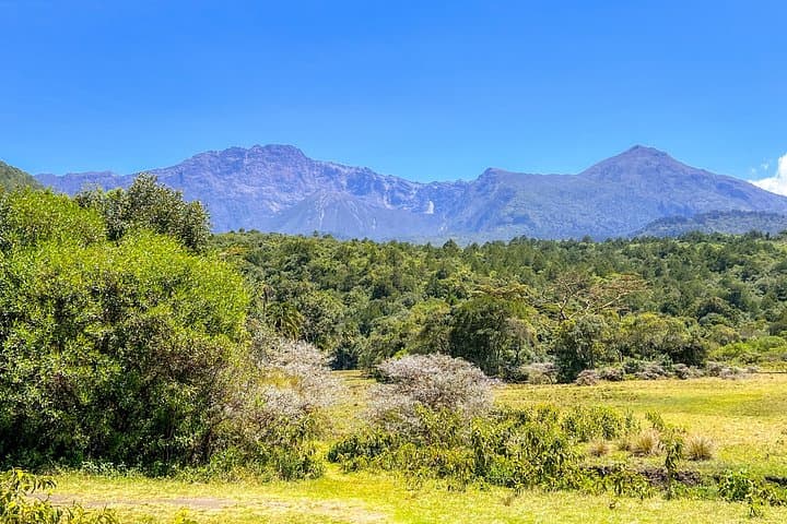 Walking Safari in Arusha National Park: Guided Foot Safari Near Arusha photo 3