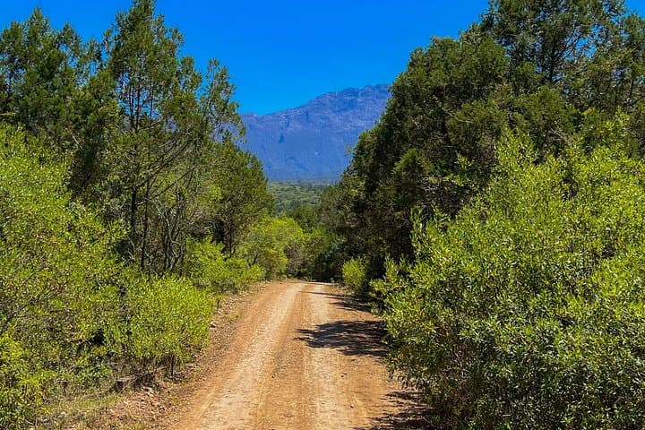 Walking Safari in Arusha National Park: Guided Foot Safari Near Arusha photo 4