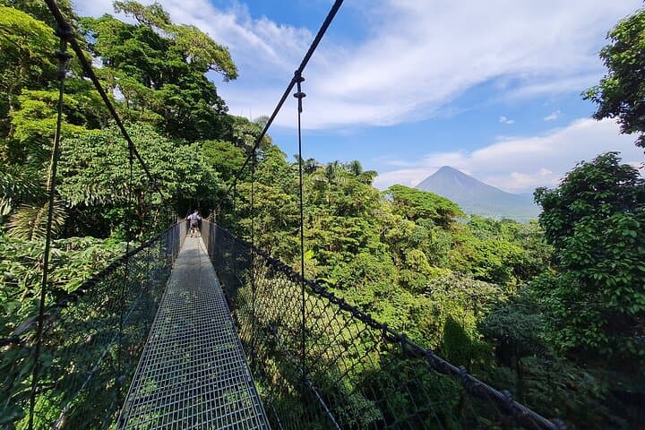 Mistico Hanging Bridges — La Fortuna Canopy Walk with Naturalist Guide
