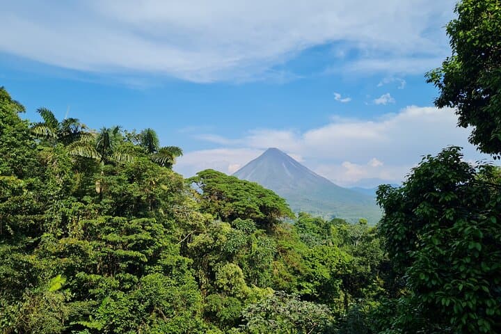 Mistico Hanging Bridges — La Fortuna Canopy Walk with Naturalist Guide photo 2