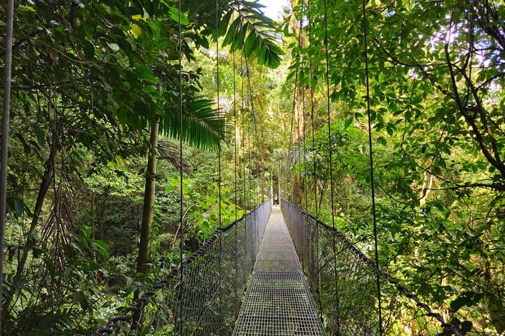 Mistico Hanging Bridges — La Fortuna Canopy Walk with Naturalist Guide photo 6