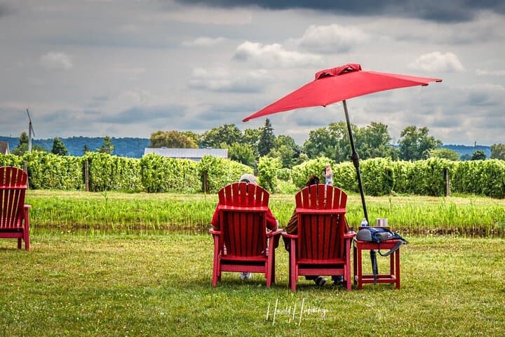 Private Niagara Falls Wine Tasting Adventure — Customizable Wineries & Breweries