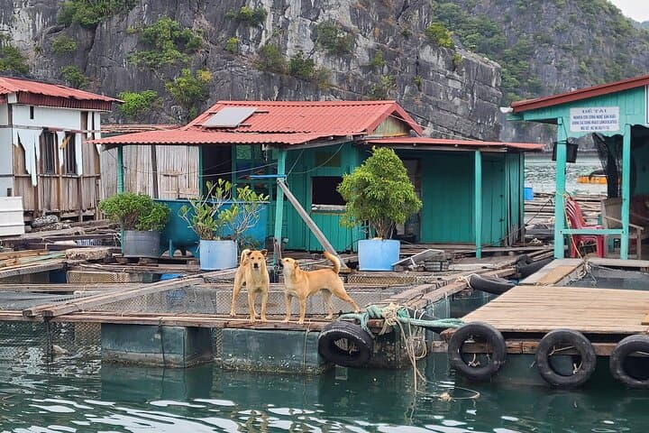 Private Canoe Adventure in Lan Ha Bay: Halong Bay's Quiet Lagoons photo 5