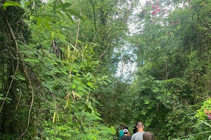 Santa Maria Beach Hike: Secluded St. Thomas Trail to Hidden Ruins and Turquoise Water