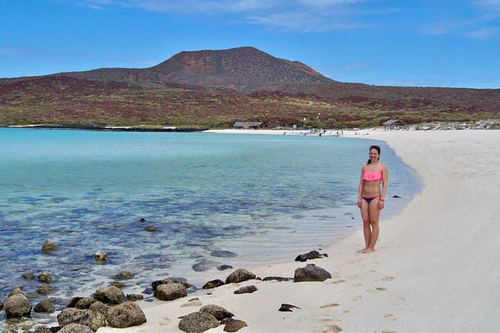 Snorkel Coronado Island: Sea of Cortez Wildlife & Private Beach Charter