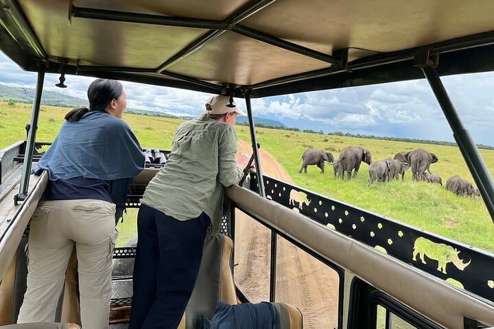 4-Day Masai Mara & Lake Nakuru Jeep Camping Safari: Big Five, Flamingos & Maasai Culture