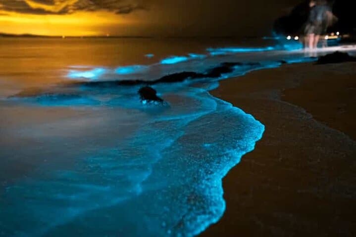 Phang Nga Bay Bioluminescent Canoe & Twilight Speedboat Tour from Phuket photo 6