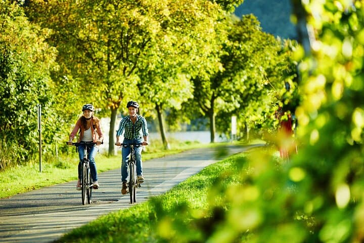 Moselle E‑Bike Picnic and Return-Boat Tour from Traben-Trarbach