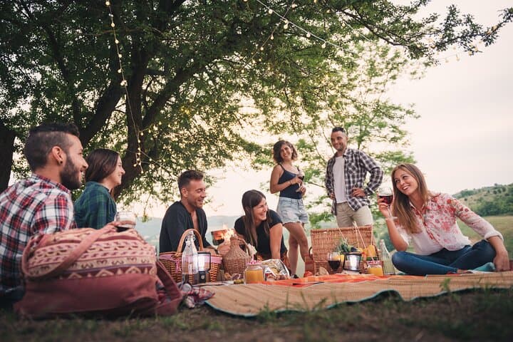 Moselle E‑Bike Picnic and Return-Boat Tour from Traben-Trarbach photo 2