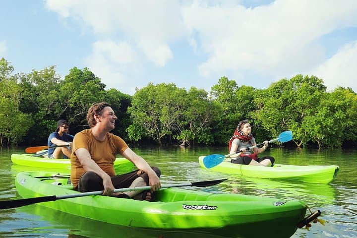 Zanzibar Mangrove SUP & Kayak Tour in Chukwani — Guided Tidal Forest Adventure photo 3