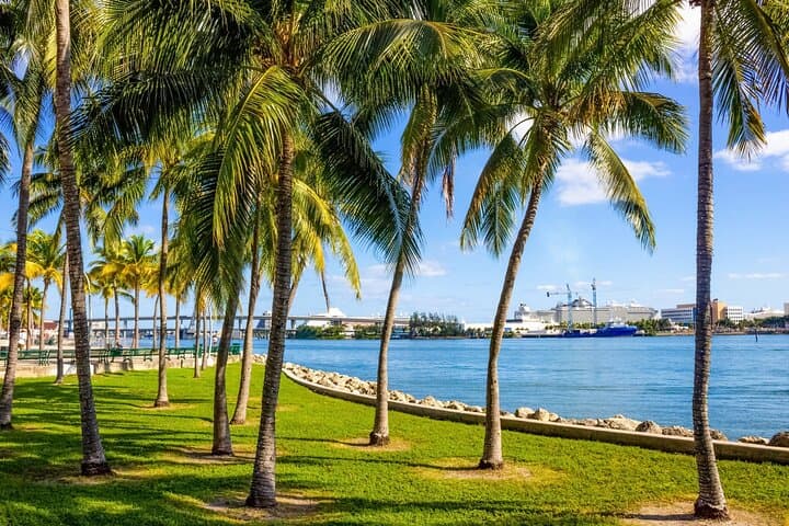 Miami Downtown Private Guided Walking Tour — Freedom Tower, Bayfront & Hidden Gems photo 3