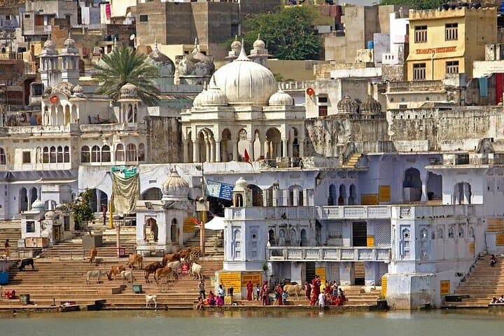 Jaipur to Pushkar Day Trip: Camel Safari, Brahma Temple & Savitri Ropeway Sunset photo 5