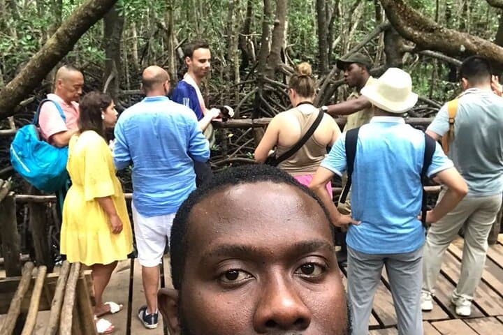 Jozani Forest Red Colobus Walk and Pete-Jozani Mangrove Boardwalk photo 5