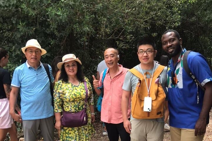 Jozani Forest Red Colobus Walk and Pete-Jozani Mangrove Boardwalk photo 6
