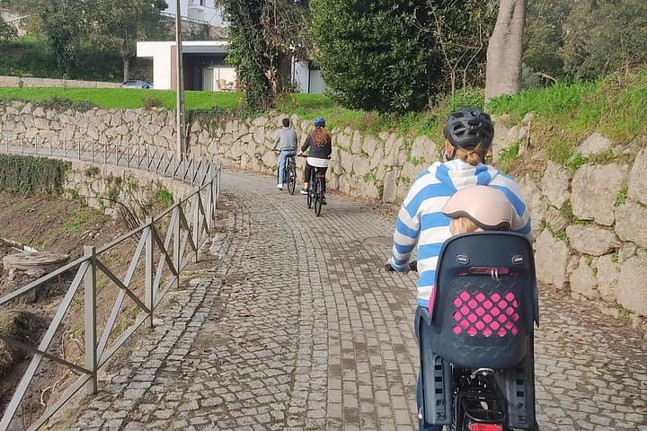 Porto to Amarante e-Bike Tour and Vinho Verde Wine Tasting photo 6