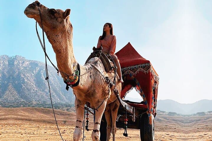 Jaipur to Pushkar Day Trip: Camel Safari, Brahma Temple & Savitri Ropeway Sunset
