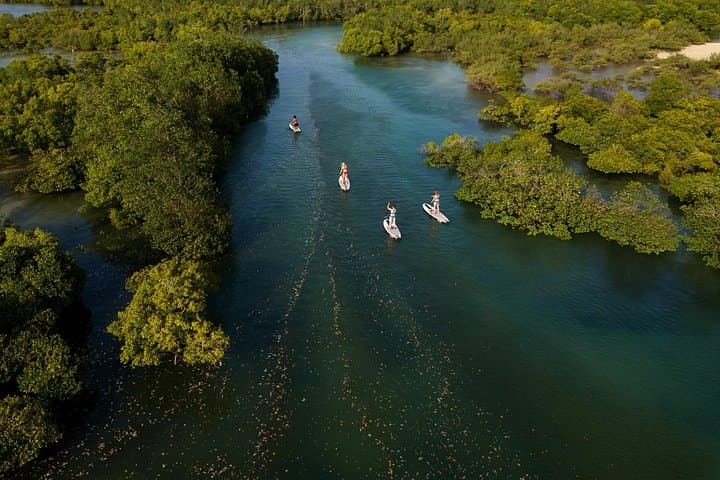Zanzibar Mangrove SUP & Kayak Tour in Chukwani — Guided Tidal Forest Adventure