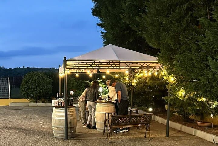 Private Ginosa Vineyard Tour from Matera — Wine Tasting & Olive-Grove Walk photo 4