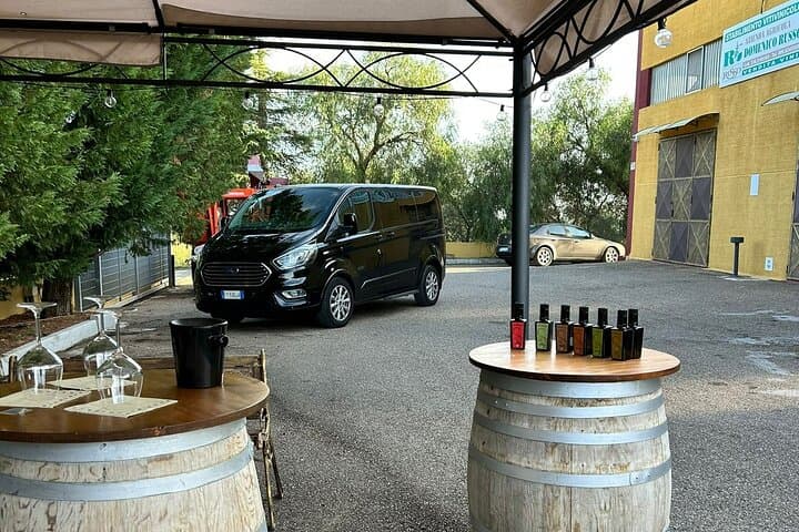 Private Ginosa Vineyard Tour from Matera — Wine Tasting & Olive-Grove Walk photo 5