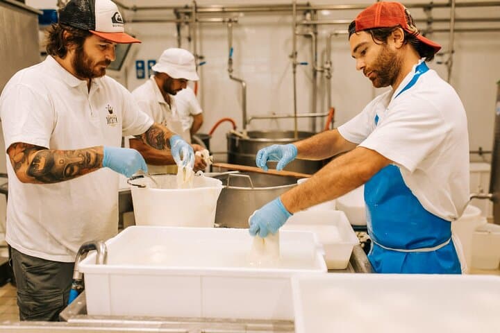 Matera to Altamura Cheese Tour: Private Half-Day Focaccia & Dairy Experience photo 1